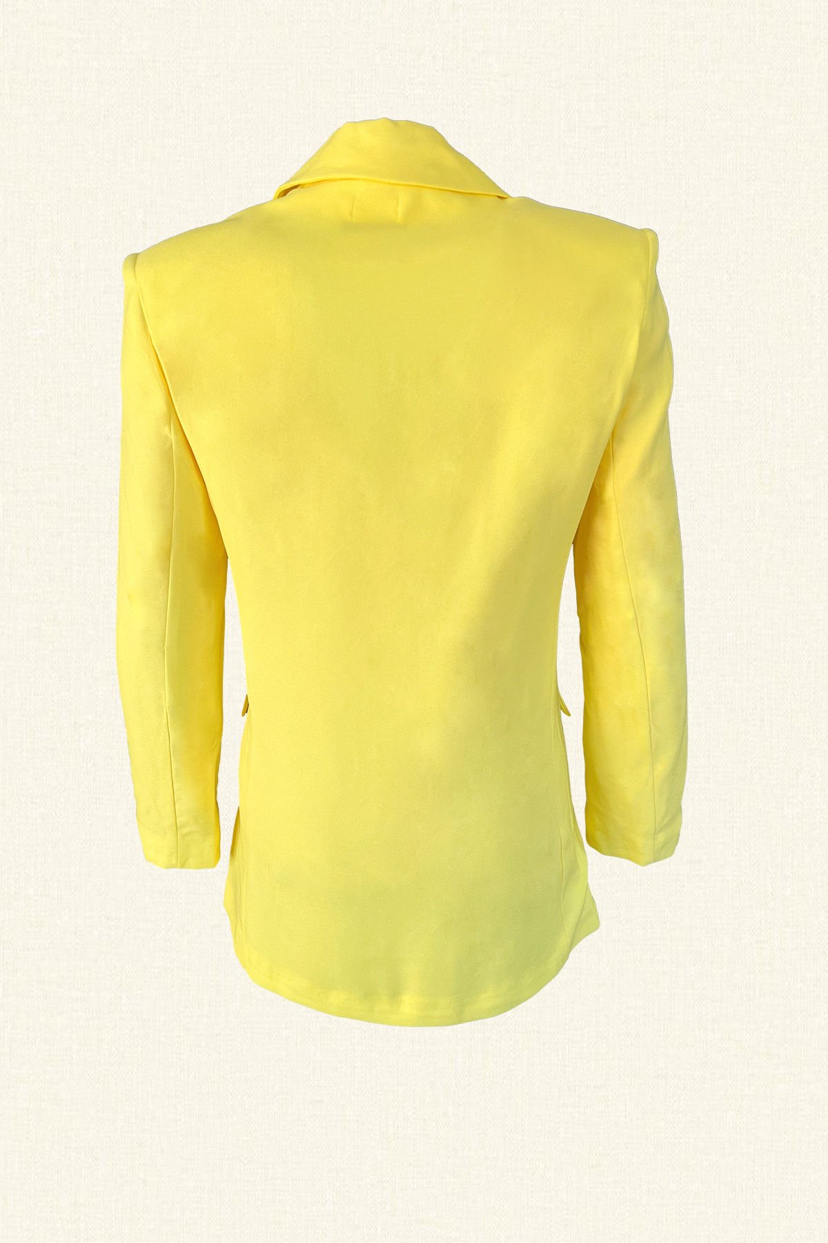 Renkli Kuş İşlemeli Sarı Blazer Ceket